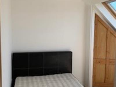 Picture 5